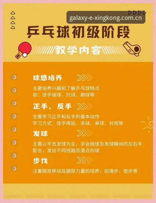 星空体育平台深度解析教程：从入门到精通的完整指南